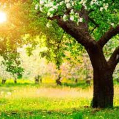 Timeline: Сроки уплаты