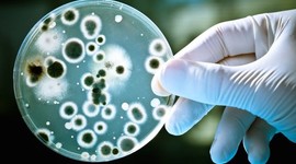 Timeline: Nightmare Superbug Spiraling the World in Reverse