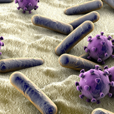 Timeline: How diseases spread since the 1970's