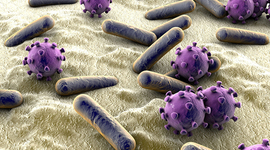 Timeline: How diseases spread since the 1970's
