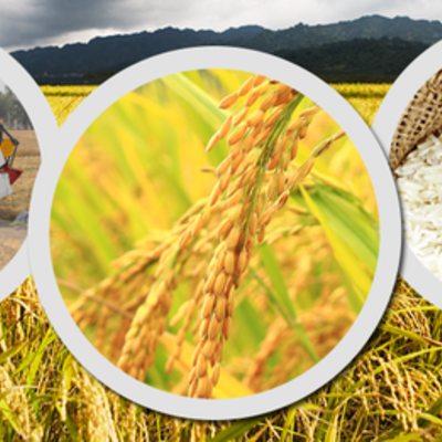 Timeline: B.C's Agricultural History