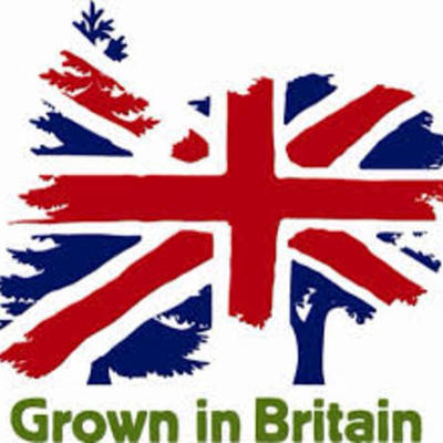 Timeline: A history of Britain