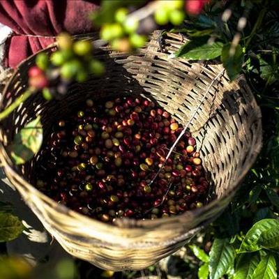 Timeline: Capitalismo Agrario en Costa Rica.