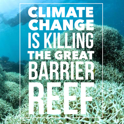 Timeline: Pollution, Energy Crisis, Great Barrier Reef