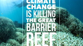 Timeline: Pollution, Energy Crisis, Great Barrier Reef