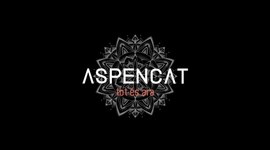 Timeline: PAC 9: anàlisi cançó Aspencat