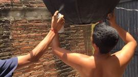 Timeline: Proyecto Estufa