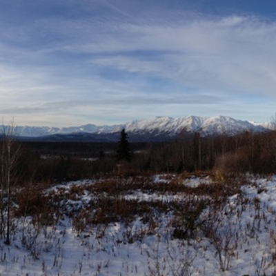 Timeline: The Life of Ann