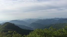 Timeline: ECE History Timeline