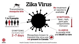 Timeline: The Flying Disease