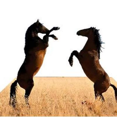 Timeline: MI LINEA DEL TIEMPO