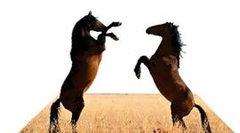 Timeline: MI LINEA DEL TIEMPO