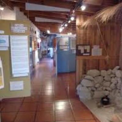 Timeline: VIAJE A PUERTO MADRYN