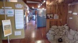 Timeline: VIAJE A PUERTO MADRYN