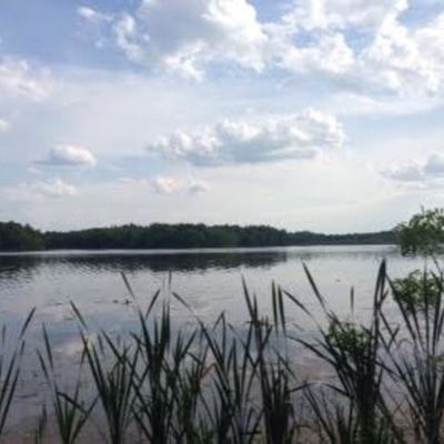 Timeline: Past Present Future