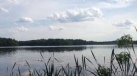 Timeline: Past Present Future