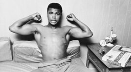 Timeline: EL MATADOR ALI