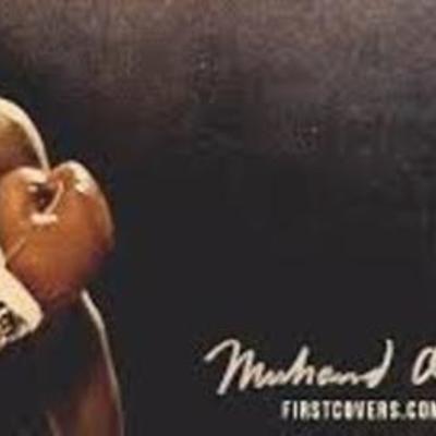 Timeline: Luchador de la vida