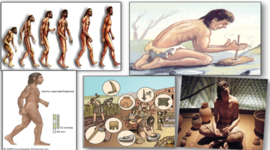 Timeline: historia salud ocupacional (LEYES)