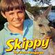 Skippy the bush kangaroo