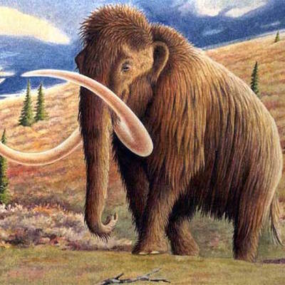 Timeline: hallazgo de osamentas de mamut en Sta. Ana Tlacotenco, Milpa Alta.