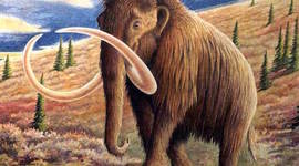 Timeline: hallazgo de osamentas de mamut en Sta. Ana Tlacotenco, Milpa Alta.