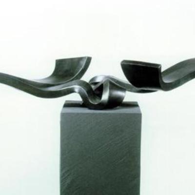 Timeline: Martin chirino