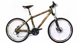 Timeline: cambio de paradigma