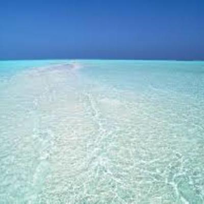 Timeline: Cronograma do Efa Técnico/a Comercial