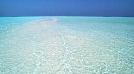 Timeline: Cronograma do Efa Técnico/a Comercial