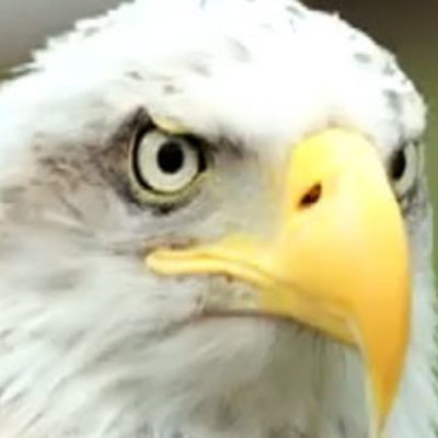 Timeline: Aprendizaje sin fronteras