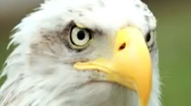 Timeline: Aprendizaje sin fronteras