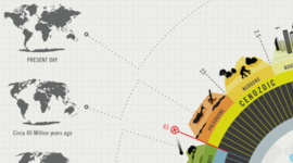 Timeline: A historia da cor branca