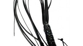 Timeline: Captain Patrick Logan - A bad guy?