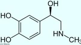 Timeline: História da Quimica Organica