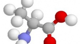 Timeline: Química Orgânica