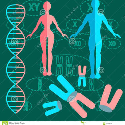 Timeline: Cronología del siglo XX sobre la Genética!!!