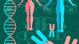 Timeline: El siglo de oro de la Genètica!!!