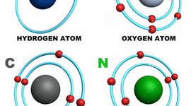 Timeline: breve historia da quimica organica