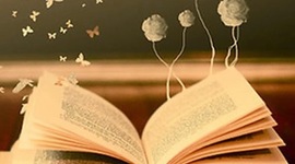 Timeline: Enfoques Curiculares