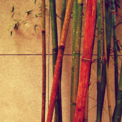 Timeline: Entre dos Mundos