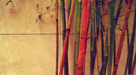 Timeline: Entre dos Mundos