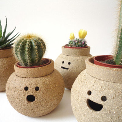 Timeline: Las plantas