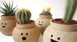 Timeline: Las plantas