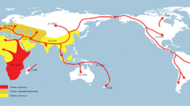 Timeline: Early Migration