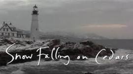 Timeline: Snow Falling on Cedars Chapter 10