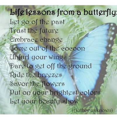 Timeline: Eat, eat Caterpillar!