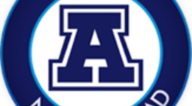 Timeline: Linha do Tempo