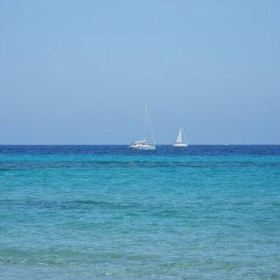 Timeline: A.S. 2015-2016 CLASSE V A Piazza Capri