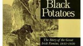 Timeline: Irish Potato Famine